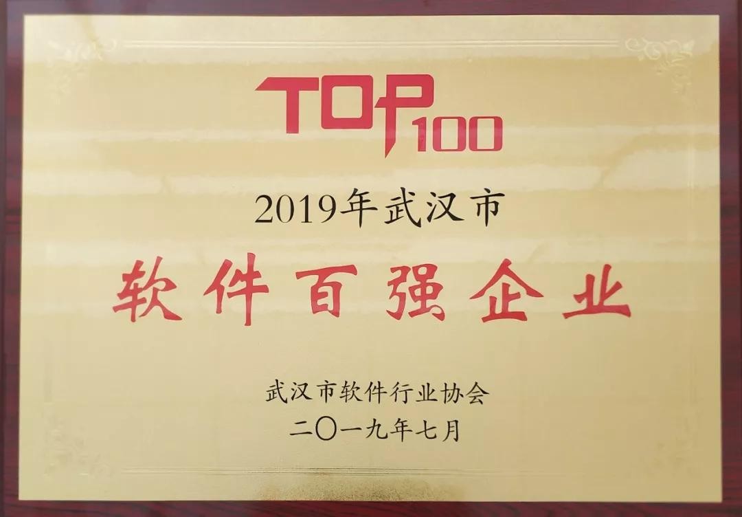 南宫NG28动力荣获2019年武汉市软件百强企业榜单第一名